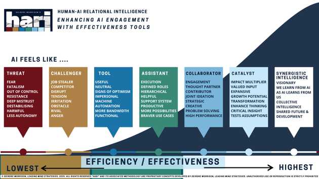 Deidre Morrisons' HARI framework Deidre Morrisons's HARI framework