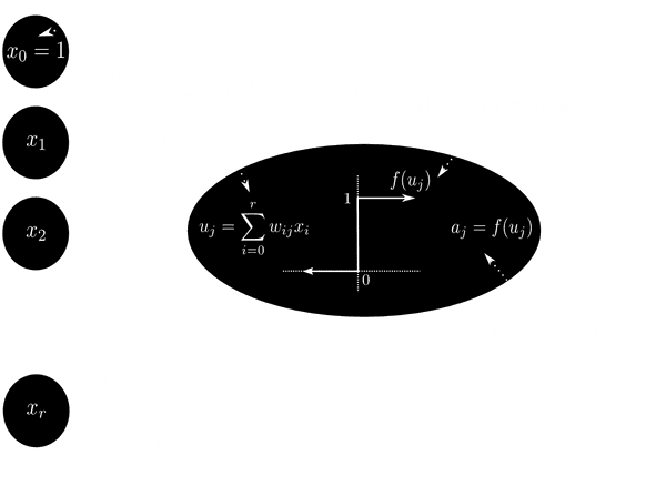 The perceptron The perceptron