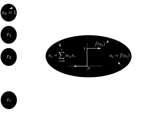 The perceptron